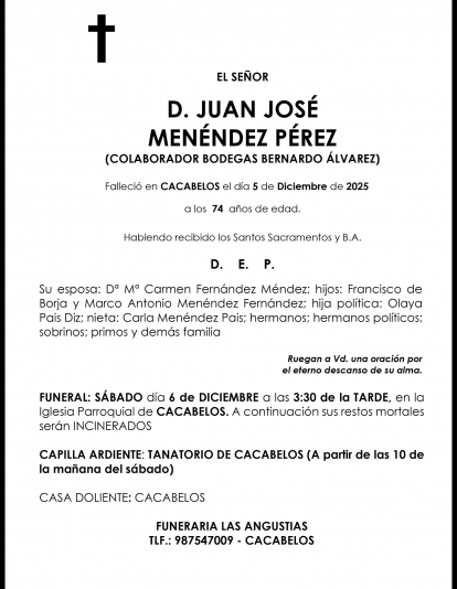 JUAN JOSÉ  MENÉNDEZ PÉREZ
