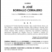 JOSÉ  BORRALLO CERRAJERO