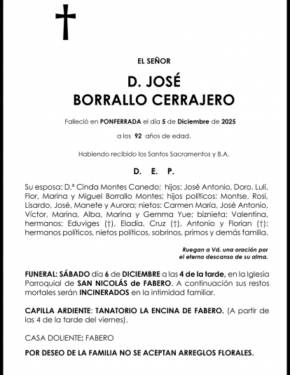 JOSÉ  BORRALLO CERRAJERO