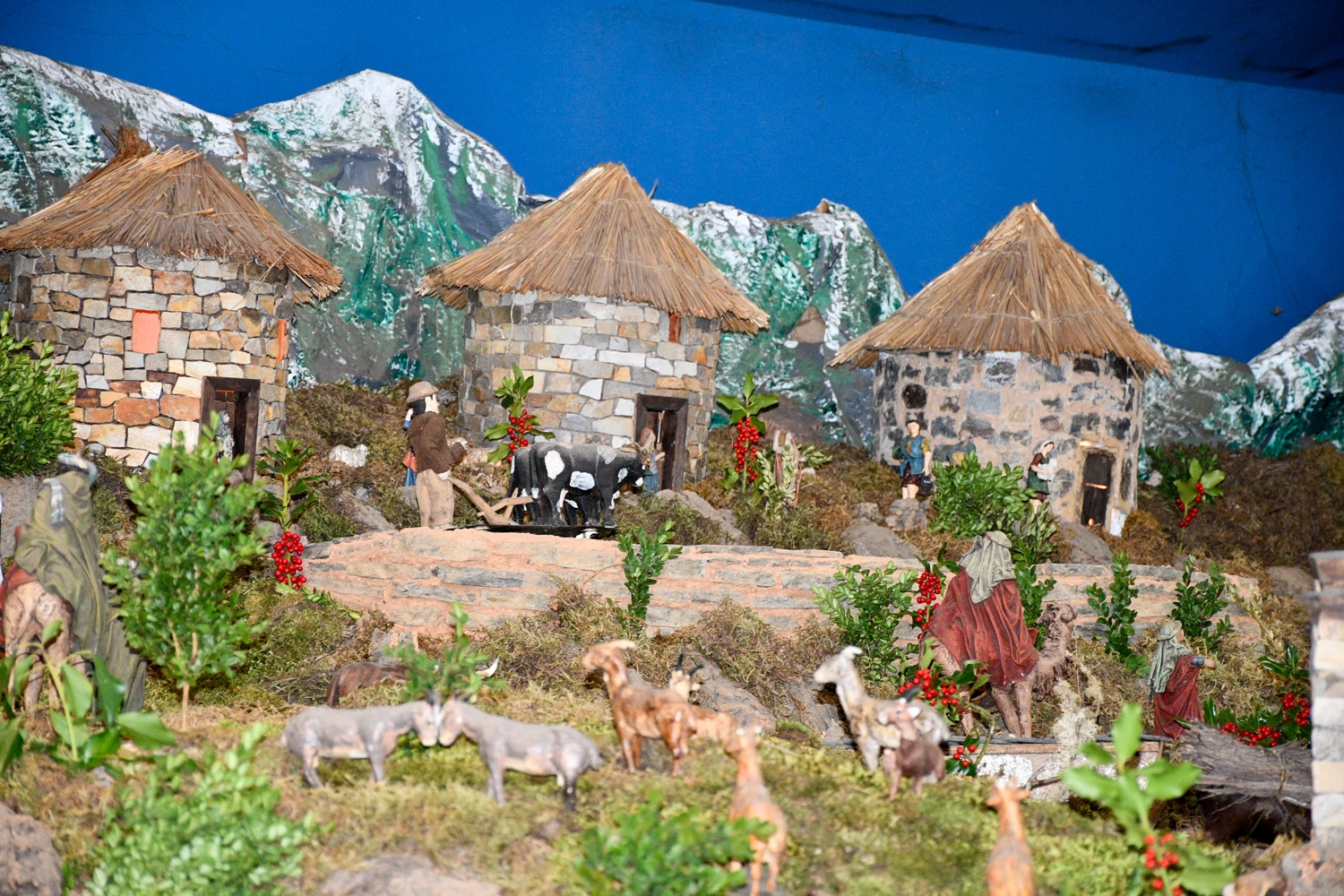 Belén de Folgoso de la Ribera 2025 (1)