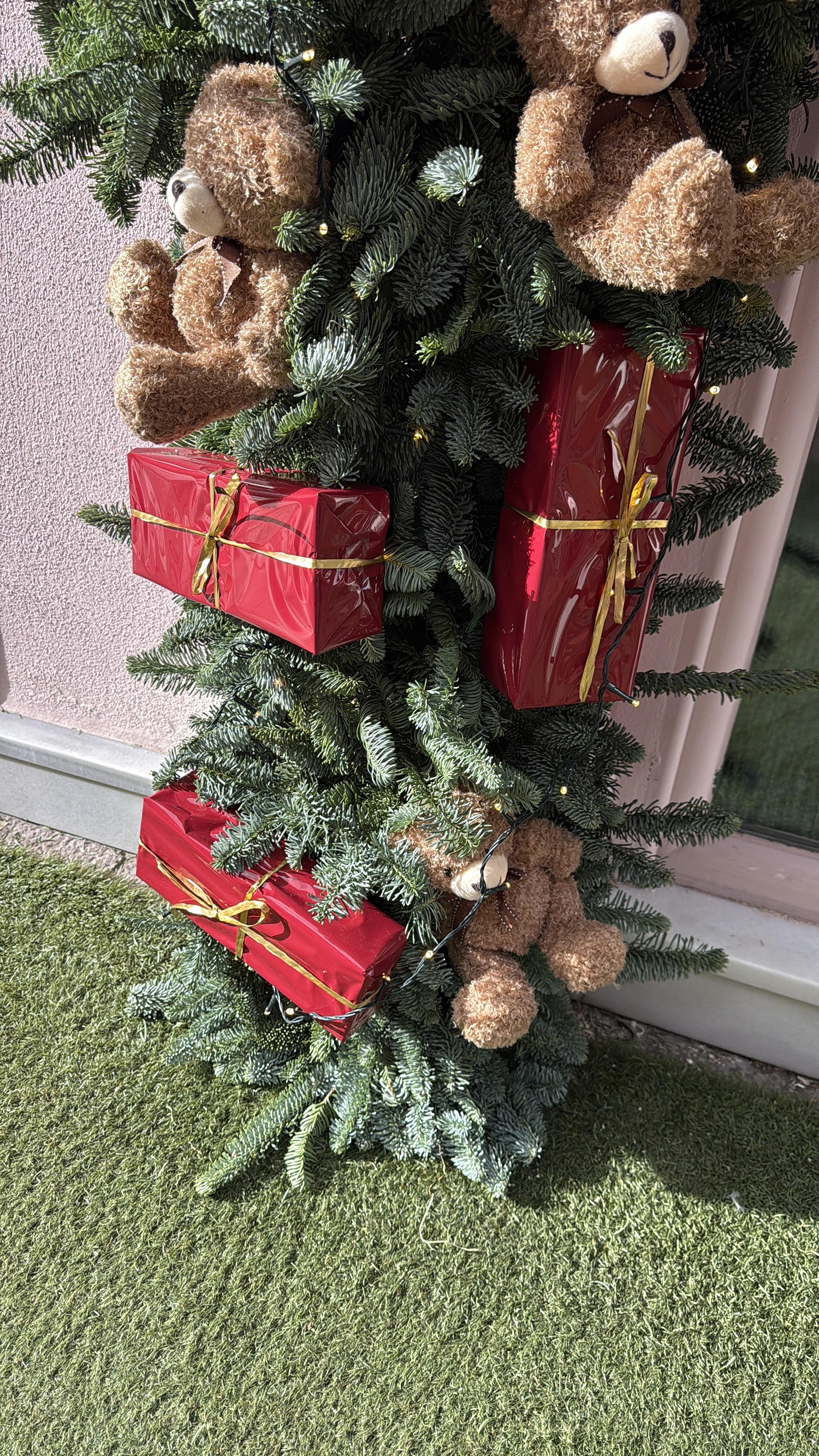 Robo de los ositos de Sandra Romero 5 Robo de los ositos de Sandra Romero 5