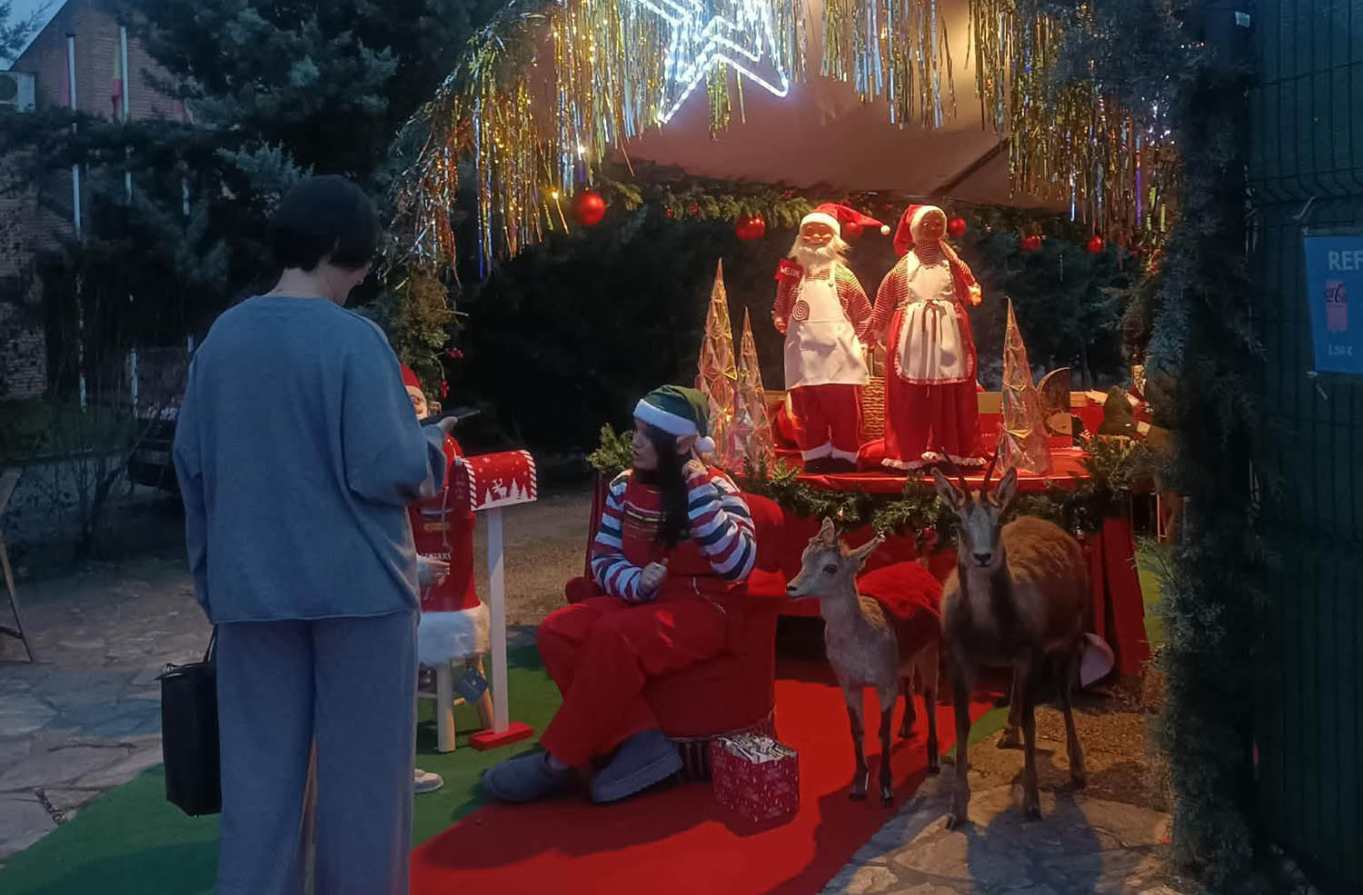 Visita Elfos en el Munic de Carracedelo Visita Elfos en el Munic de Carracedelo