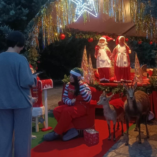 Visita Elfos en el Munic de Carracedelo Visita Elfos en el Munic de Carracedelo
