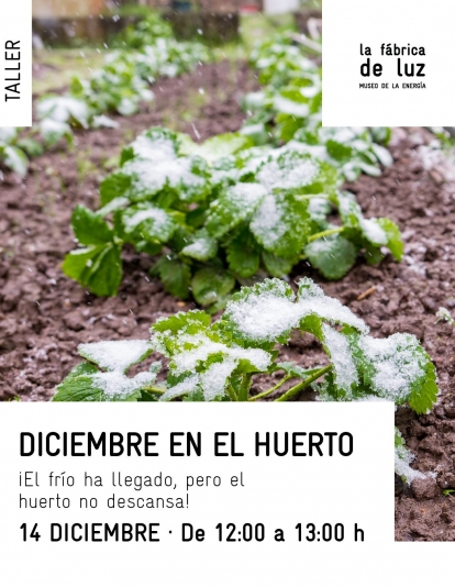 Diciembre en el Huerto Diciembre en el Huerto