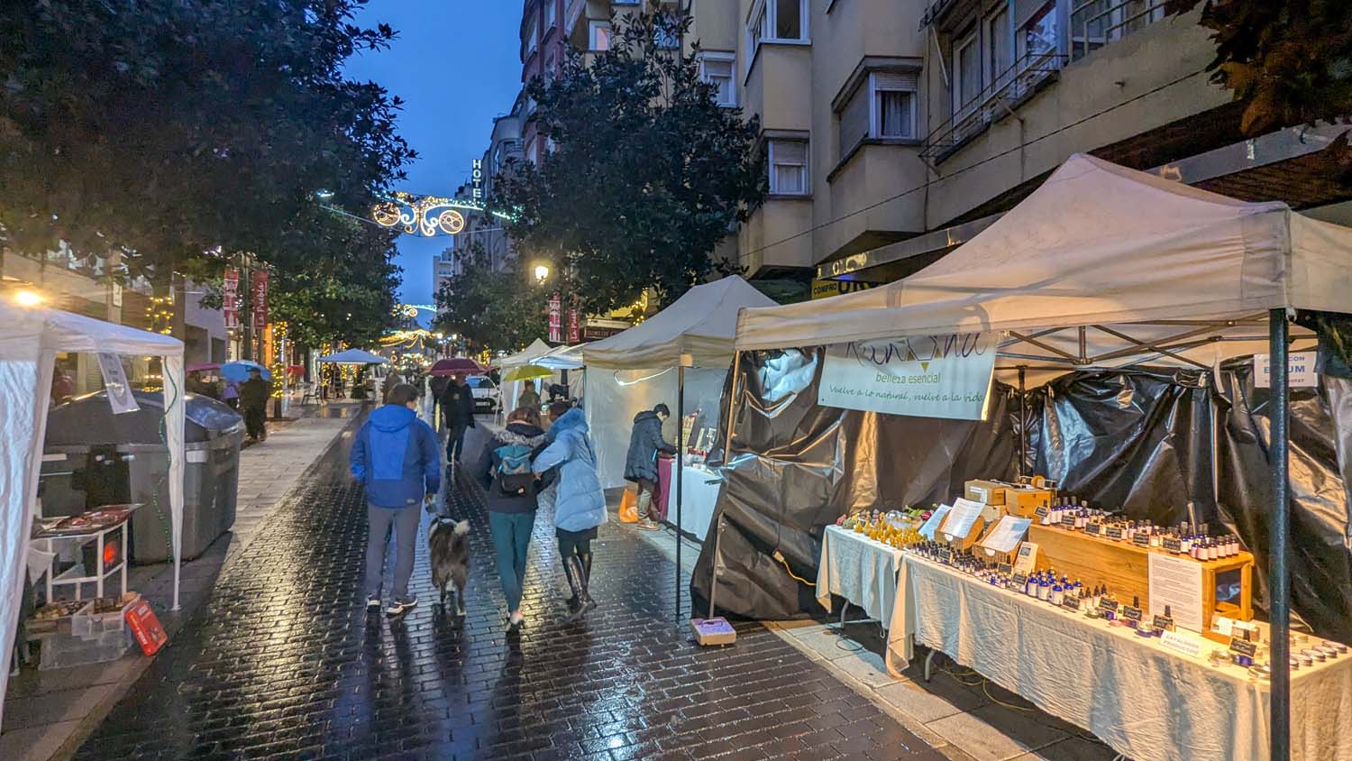 Fiesta de Navidad en la avenida de La Puebla (12) Fiesta de Navidad en la avenida de La Puebla (12)