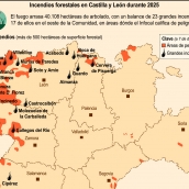 Incendios forestales en Castilla y León