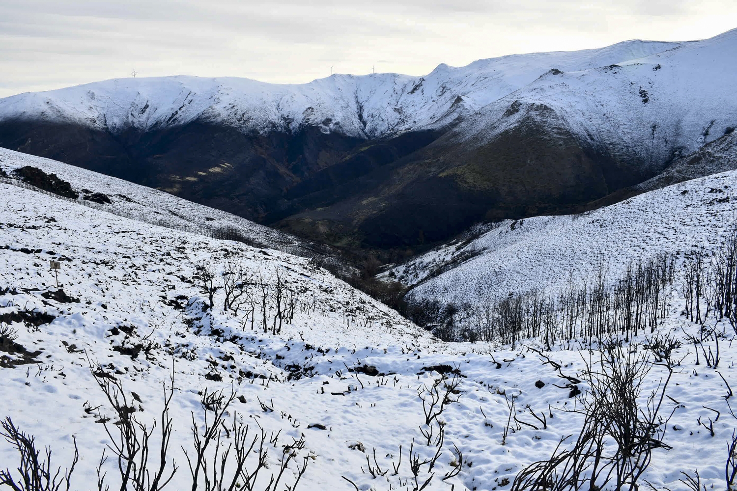 Nieve en el Mirador de la Tebaida berciana (1)