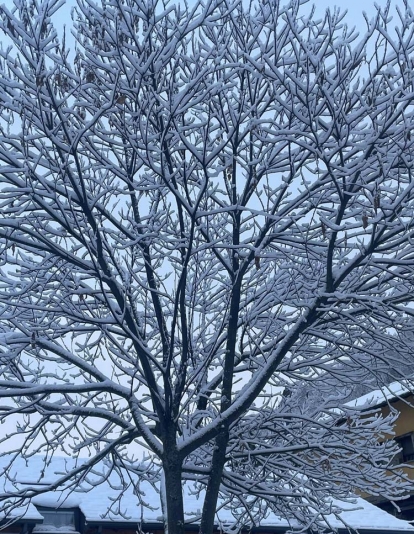 Valle de Fornela con nieve. Fotos Mari Luz Lopez Martinez grupo Valle de Fornela (2) Valle de Fornela con nieve. Fotos Mari Luz Lopez Martinez grupo Valle de Fornela (2)