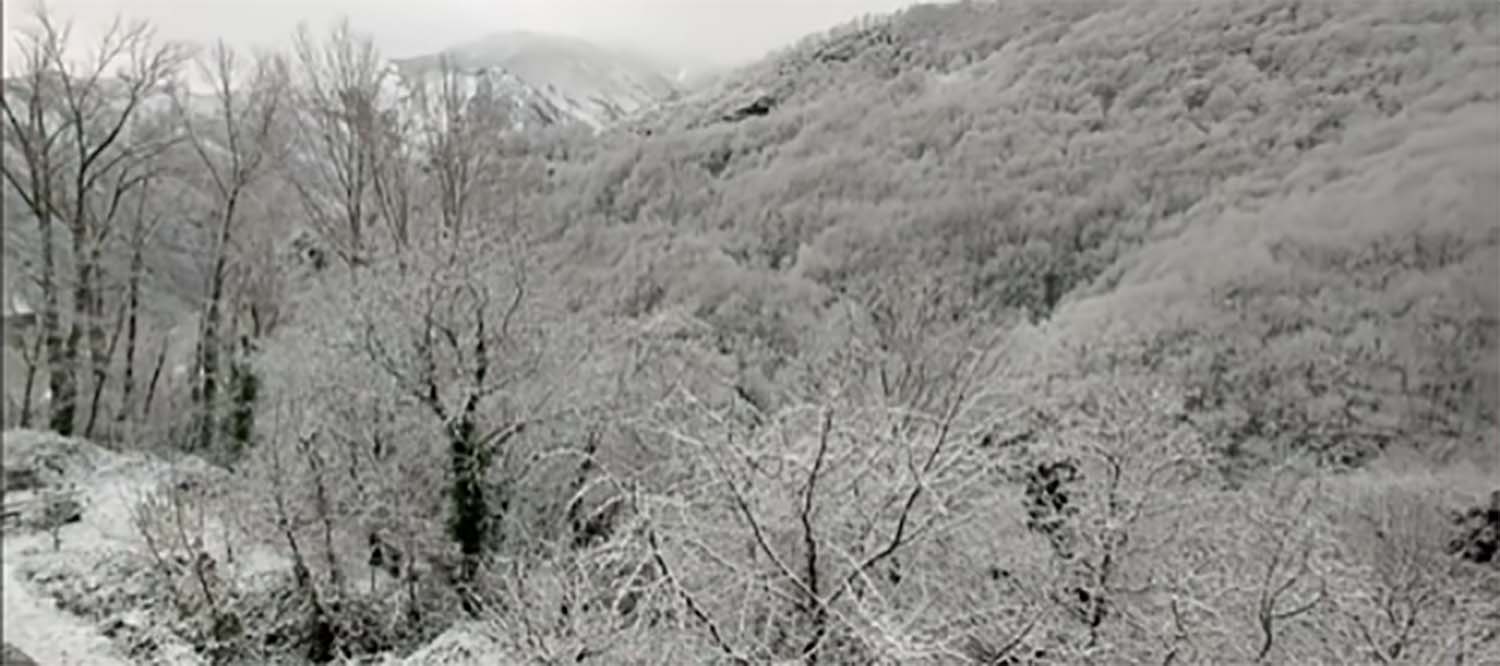 Nieve en Montes de Valdueza Nieve en Montes de Valdueza