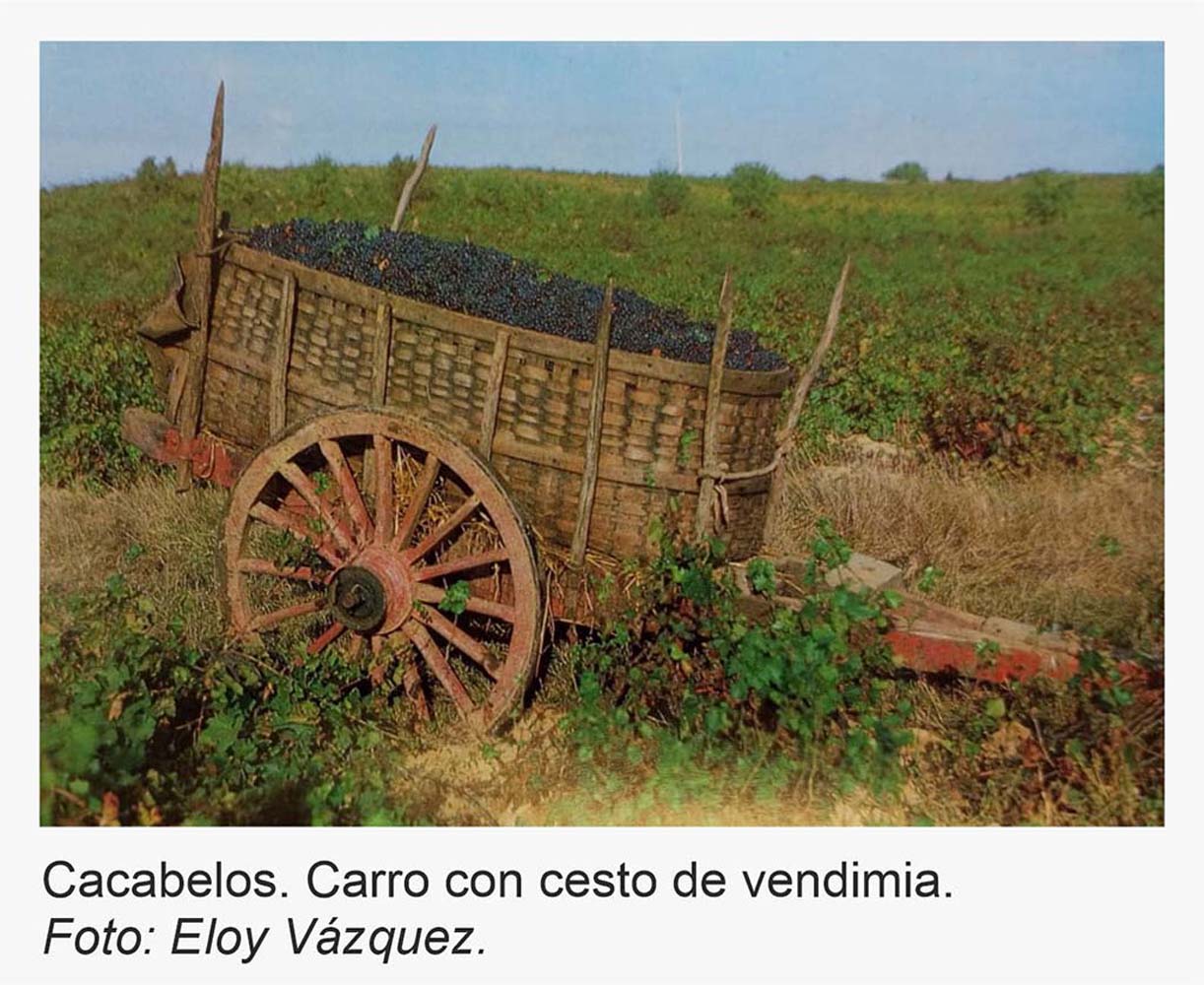 Carro con cesto de vendimia