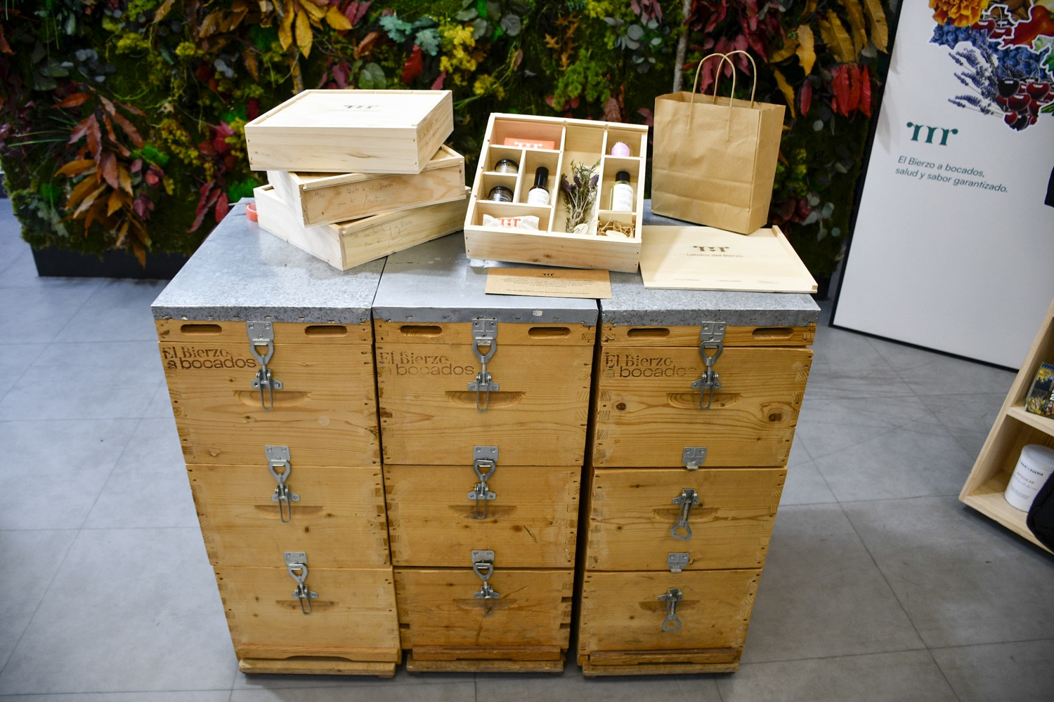 Latidos del Bierzo (1)