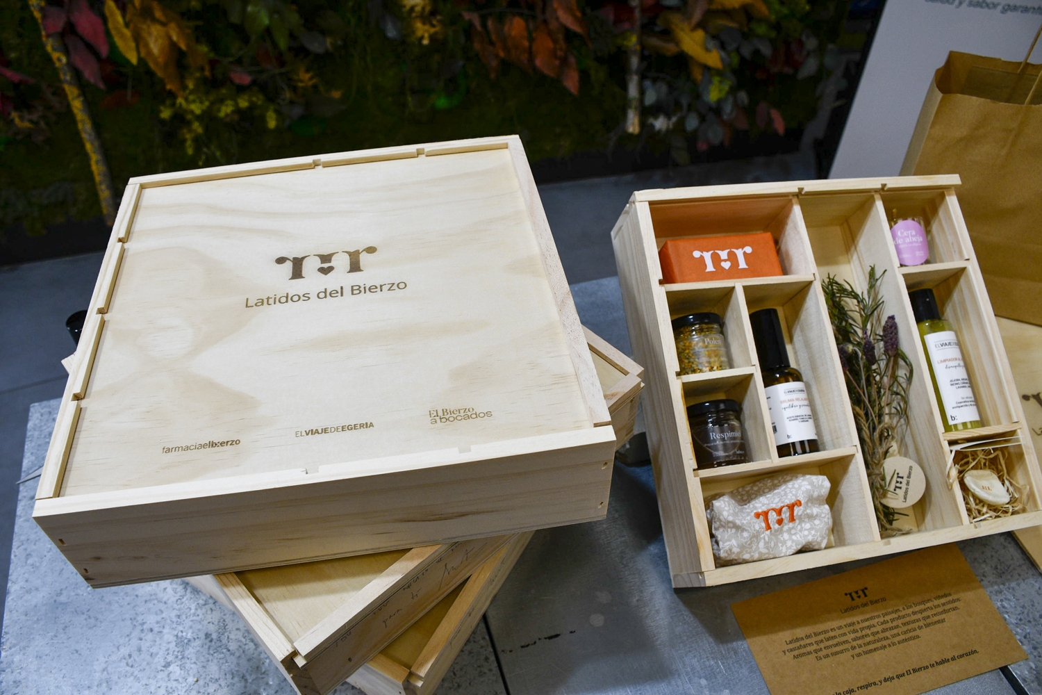 Latidos del Bierzo (3)