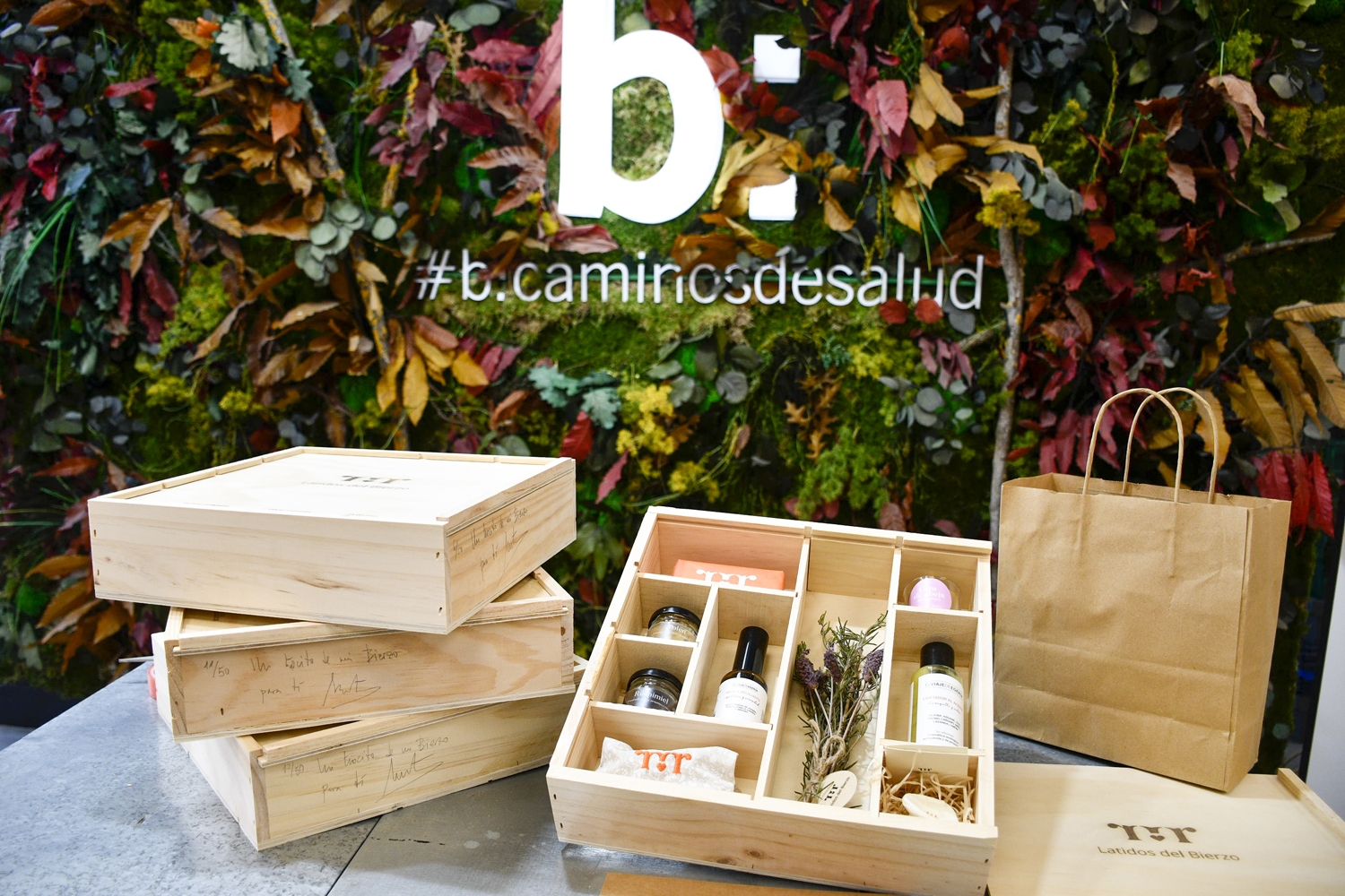 Latidos del Bierzo (8)