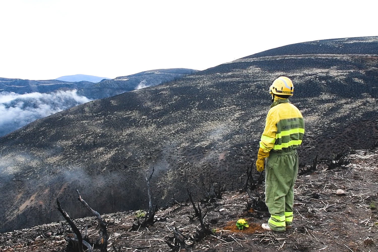 Spot de Navidad de InfoBierzo 1