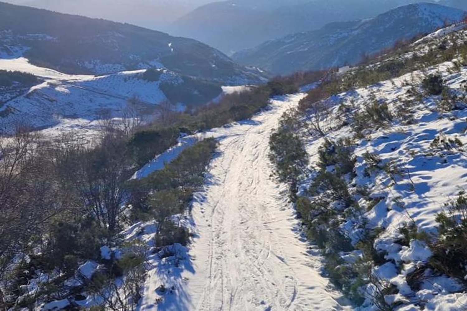 Leitariegos durantes esta semana
