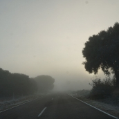 Niebla en Valladolid. ICAL 