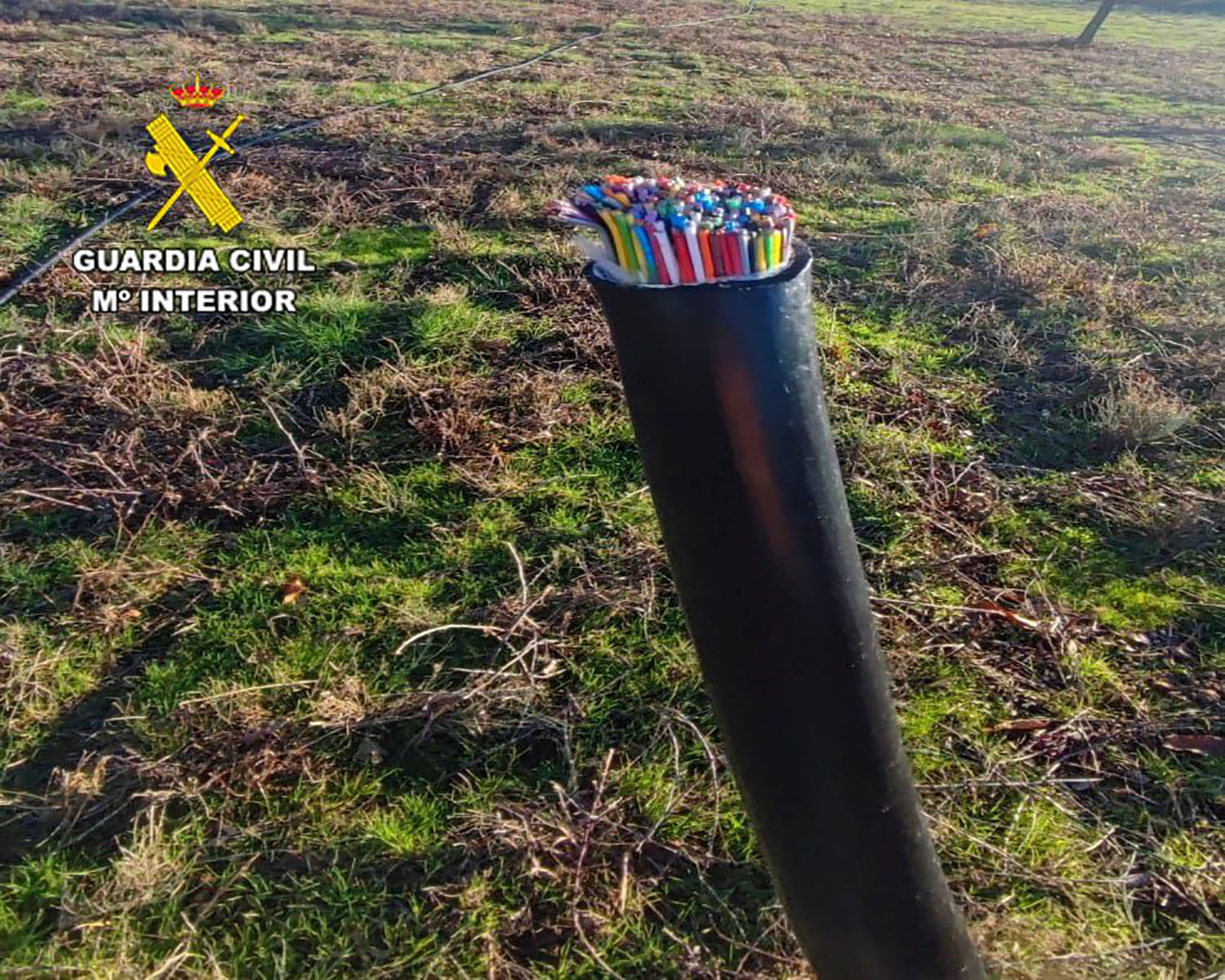 Robo cableado telefónico en Turienzo Robo cableado telefónico en Turienzo