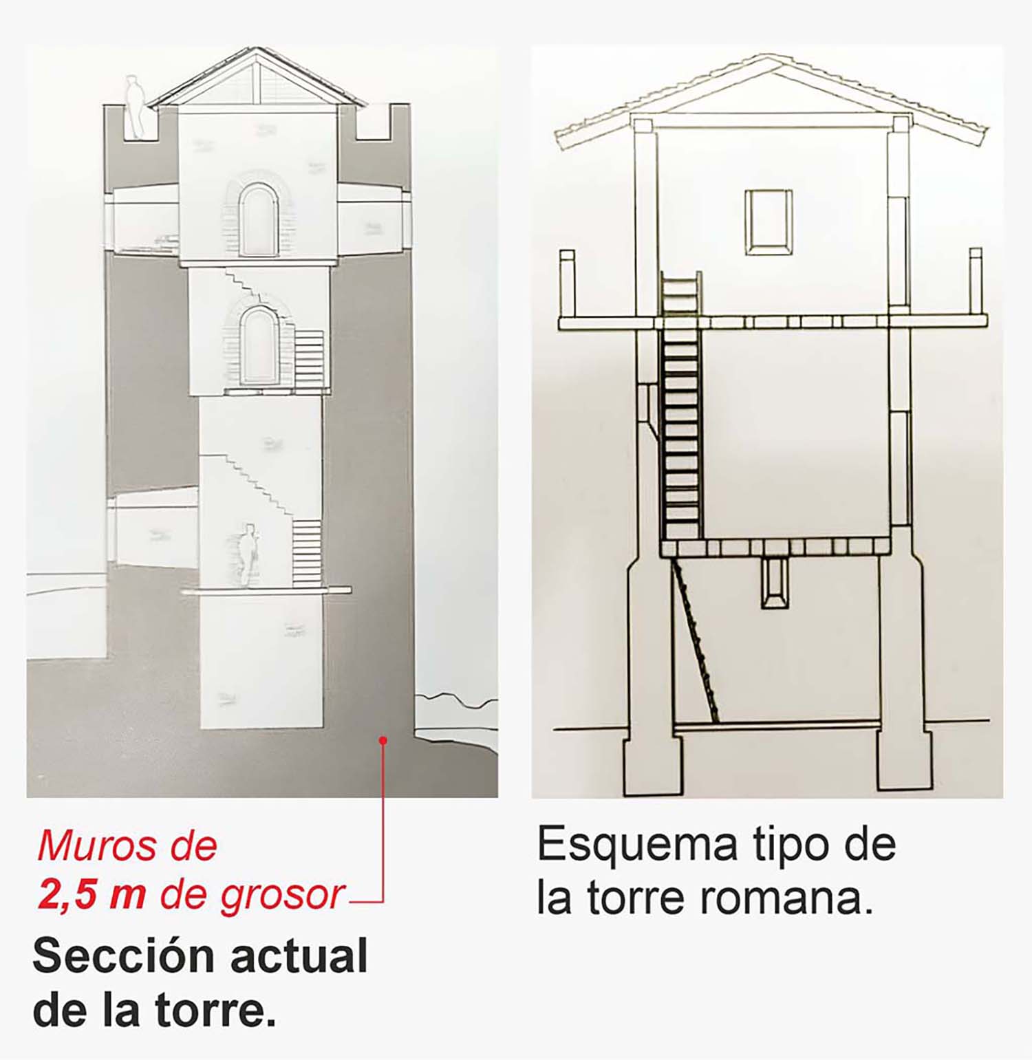 Estructura del castillo