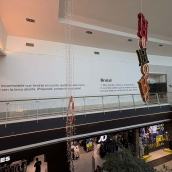 Llega de un nuevo local a El Rosal  (4)