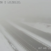 Nevada en el Manzanal