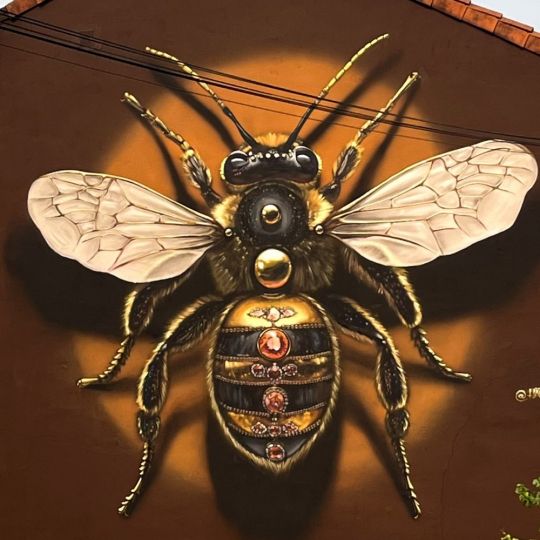 Un grafitti de gran formato ubicado en La Bañeza nominado a ser el mejor del Mundo en 2025 Un grafitti de gran formato ubicado en La Bañeza nominado a ser el mejor del Mundo en 2025