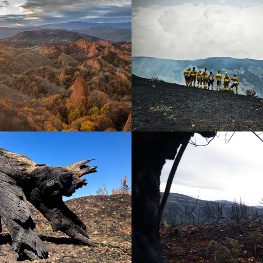 Concurso de fotos sobre los incendios forestales de León y El Bierzo Concurso de fotos sobre los incendios forestales de León y El Bierzo