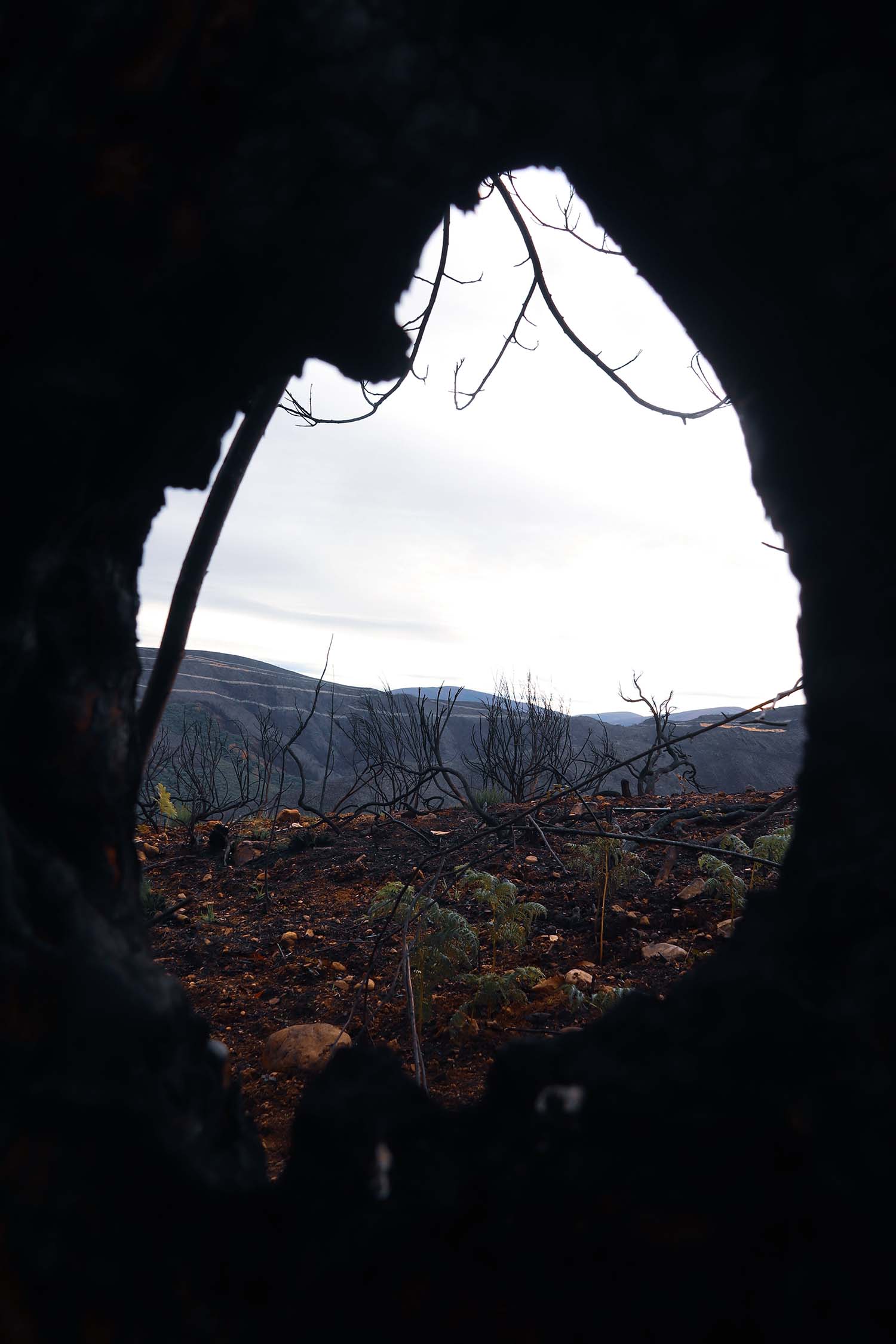 A través de las cenizas José Manuel Azabal
