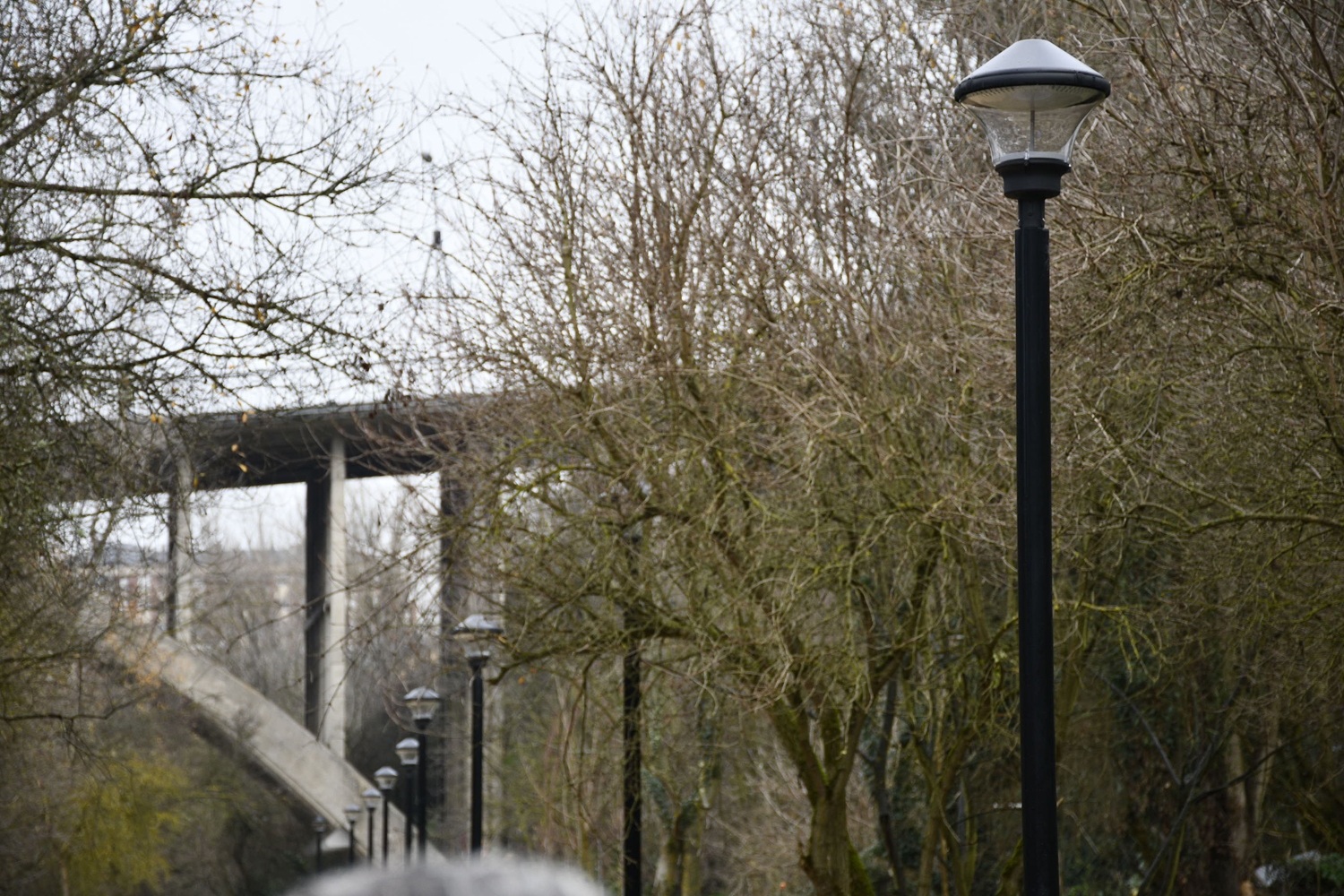 Presentación transformacion margen rio sil (7)