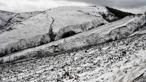 Nieve en Las Médulas por la borrasca Ingrid (8)