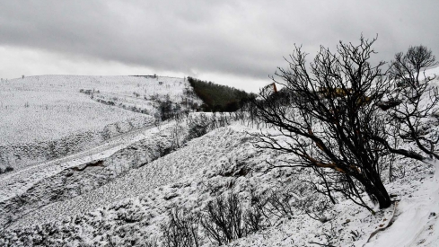 Nieve en Las Médulas por la borrasca Ingrid (11)