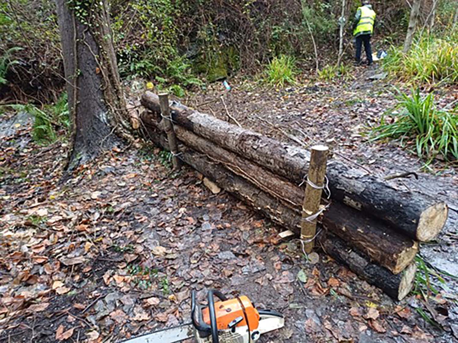 Trabajos de CHMS tras los incendios 3