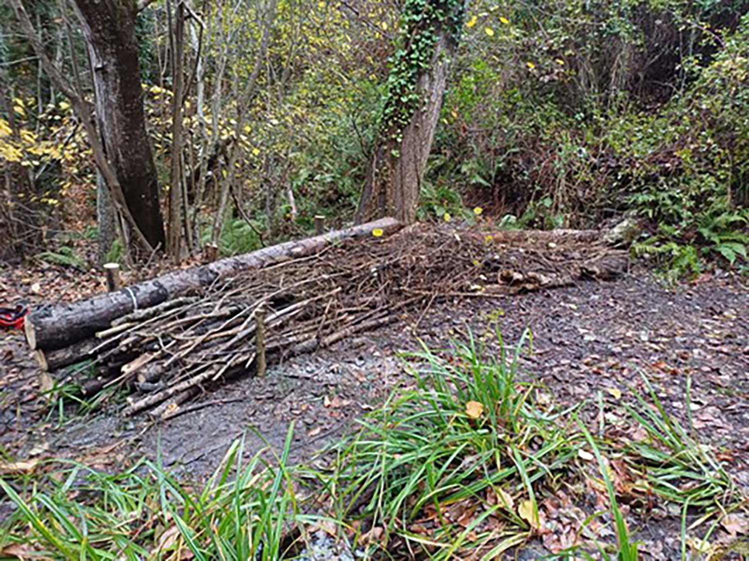 Trabajos de CHMS tras los incendios 2