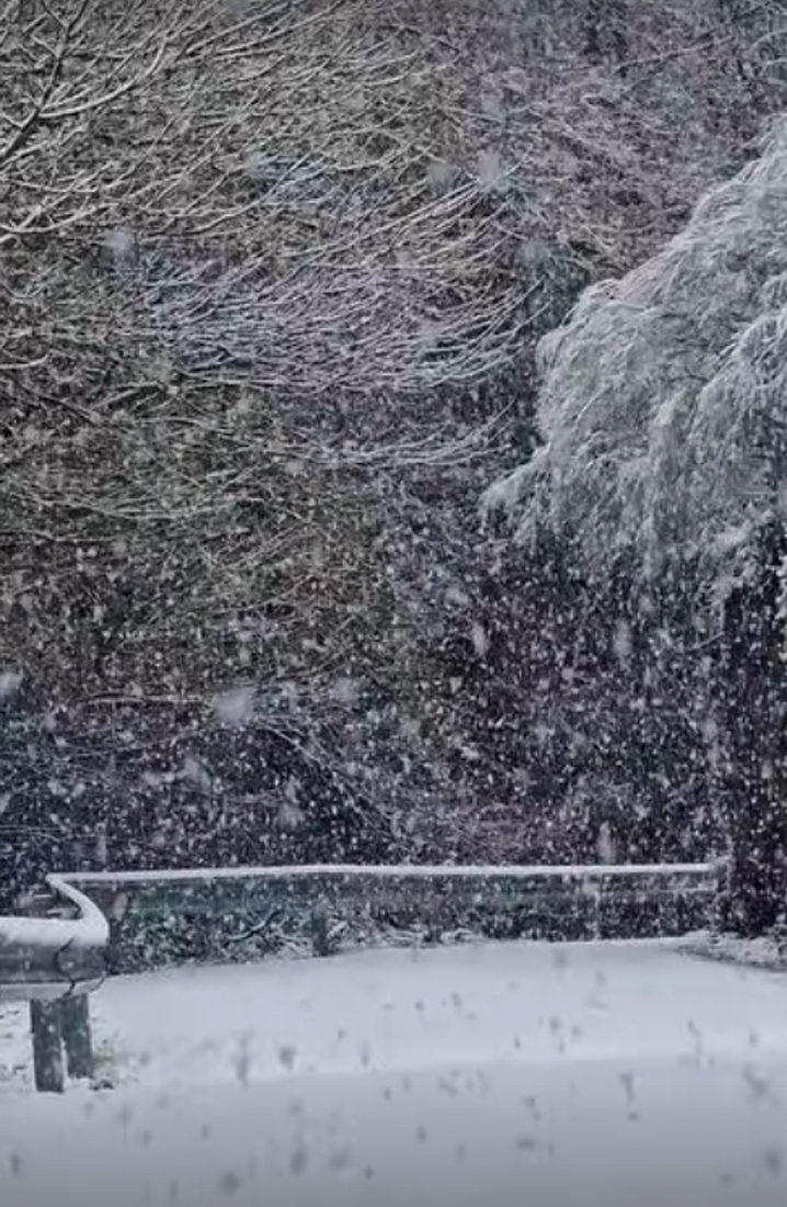 Nieve en Peñalba de Santiago por la borrasca Ingrid | Foto: Cantina de Peñalba