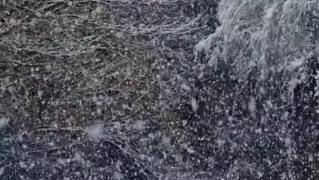 Nieve en Peñalba de Santiago por la borrasca Ingrid | Foto: Cantina de Peñalba