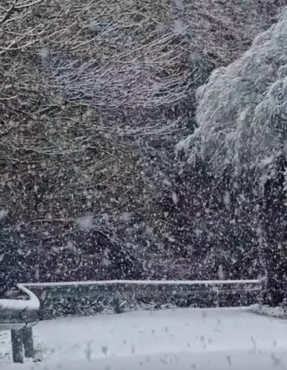 Nieve en Peñalba de Santiago por la borrasca Ingrid | Foto: Cantina de Peñalba