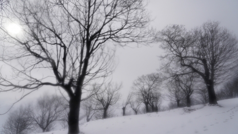 César Sánchez / ICAL . Temporal de nieve en el paraje natural de Las Médulas César Sánchez / ICAL . Temporal de nieve en el paraje natural de Las Médulas