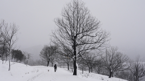 César Sánchez / ICAL . Temporal de nieve en el paraje natural de Las Médulas César Sánchez / ICAL . Temporal de nieve en el paraje natural de Las Médulas