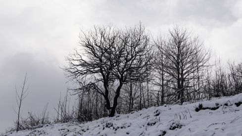 César Sánchez / ICAL . Temporal de nieve en el paraje natural de Las Médulas César Sánchez / ICAL . Temporal de nieve en el paraje natural de Las Médulas