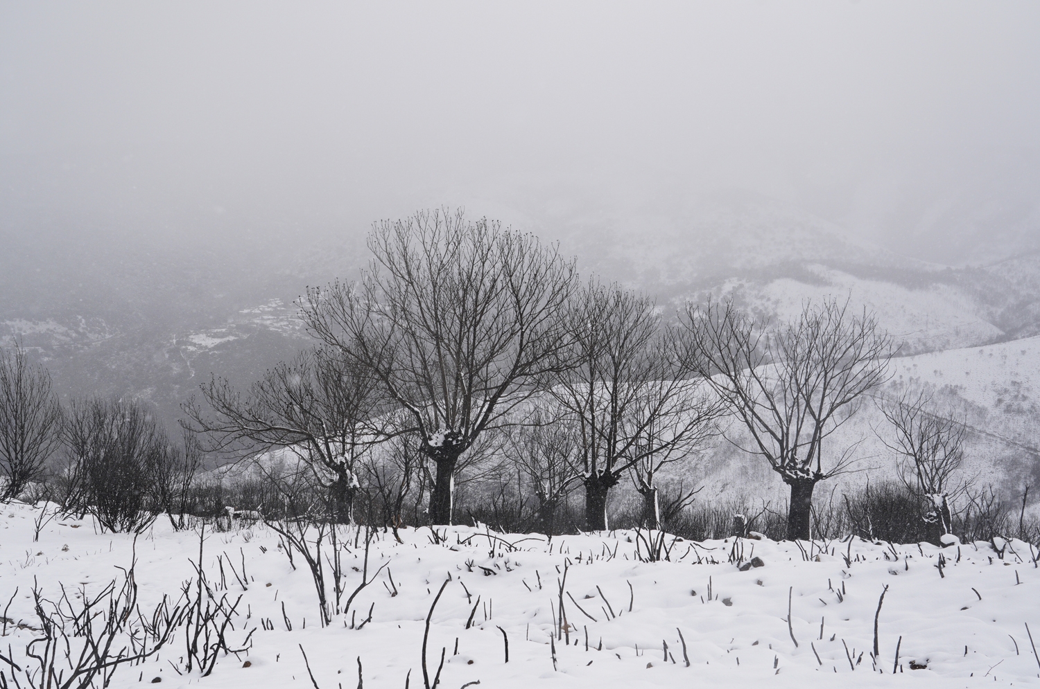 César Sánchez / ICAL . Temporal de nieve en el paraje natural de Las Médulas