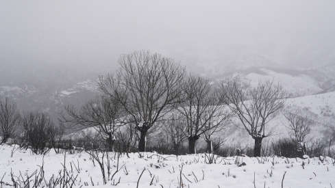 César Sánchez / ICAL . Temporal de nieve en el paraje natural de Las Médulas César Sánchez / ICAL . Temporal de nieve en el paraje natural de Las Médulas