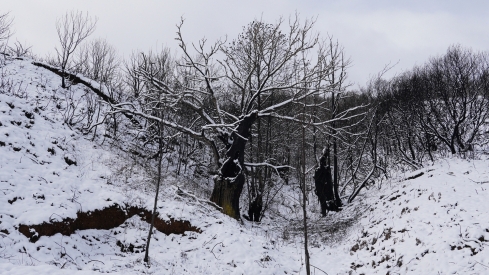César Sánchez / ICAL . Temporal de nieve en el paraje natural de Las Médulas César Sánchez / ICAL . Temporal de nieve en el paraje natural de Las Médulas
