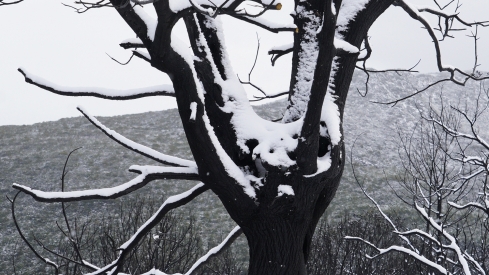 César Sánchez / ICAL . Temporal de nieve en el paraje natural de Las Médulas César Sánchez / ICAL . Temporal de nieve en el paraje natural de Las Médulas