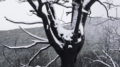 César Sánchez / ICAL . Temporal de nieve en el paraje natural de Las Médulas