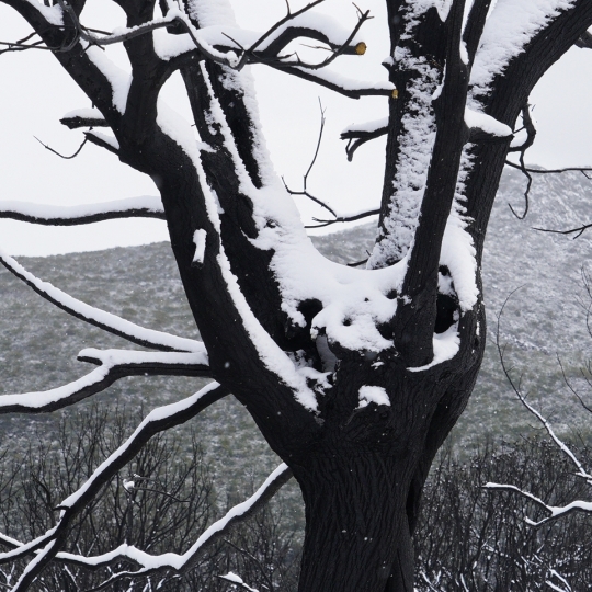 César Sánchez / ICAL . Temporal de nieve en el paraje natural de Las Médulas