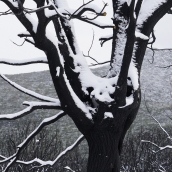 César Sánchez / ICAL . Temporal de nieve en el paraje natural de Las Médulas