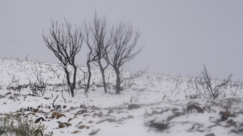 César Sánchez / ICAL . Temporal de nieve en el paraje natural de Las Médulas César Sánchez / ICAL . Temporal de nieve en el paraje natural de Las Médulas