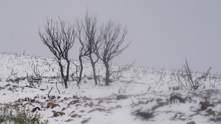 César Sánchez / ICAL . Temporal de nieve en el paraje natural de Las Médulas