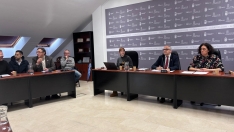 Pleno ordinario del Consejo Comarcal del Bierzo de este martes