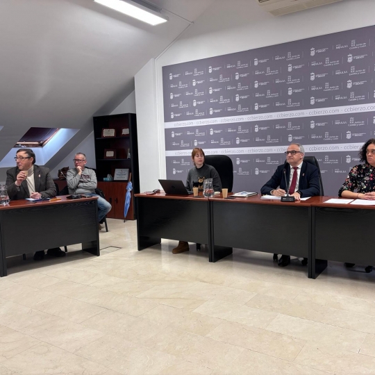 Imagen de un pleno ordinario del Consejo Comarcal del Bierzo 