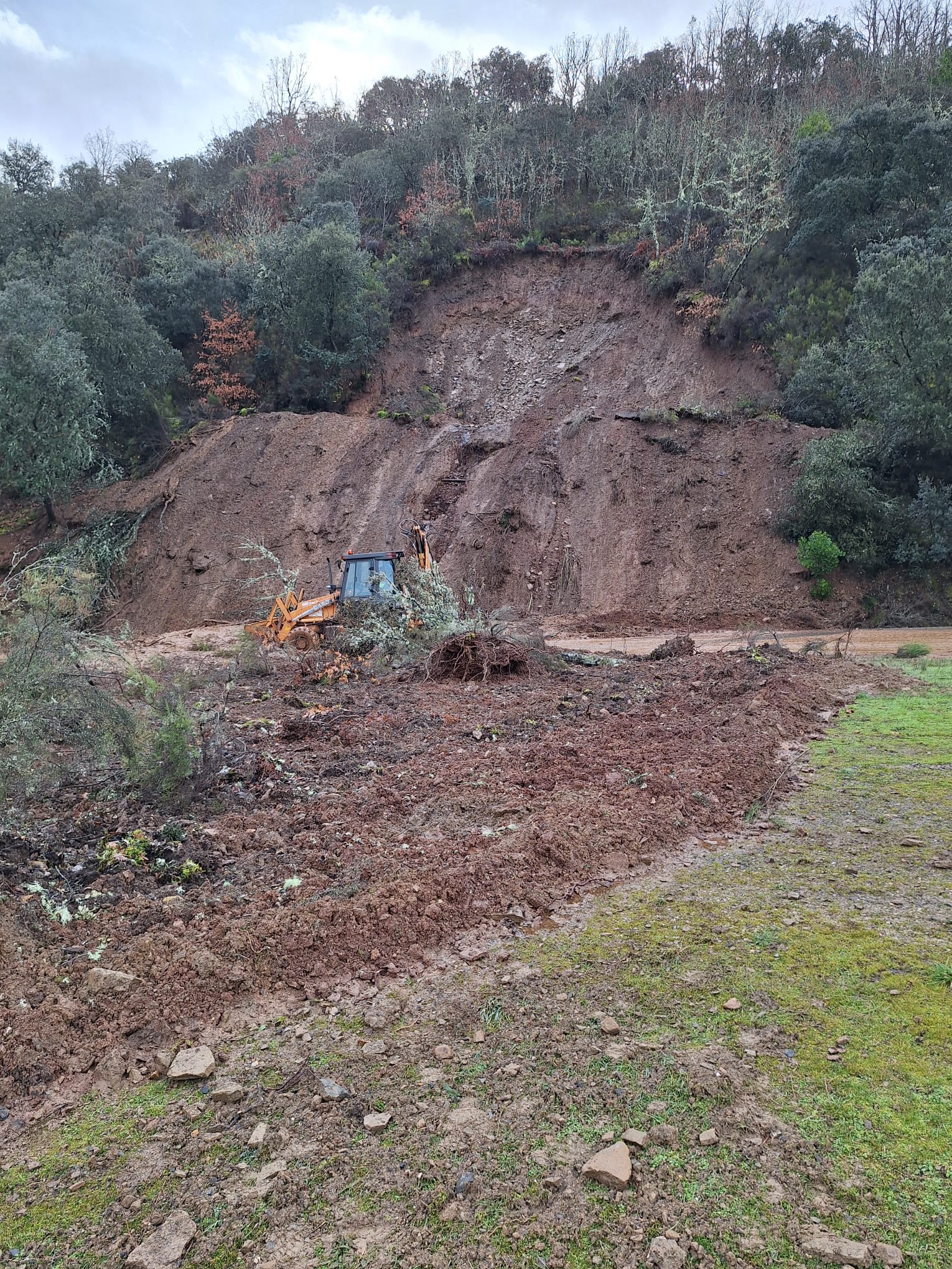 Desprendimiento en Bárcena de la Abadía (1)